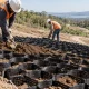 Geoceldas para control de erosión desplegadas y parcialmente rellenas en una pendiente suave