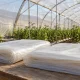 Agrofilm para invernaderos en una cubierta translúcida y muestras de film